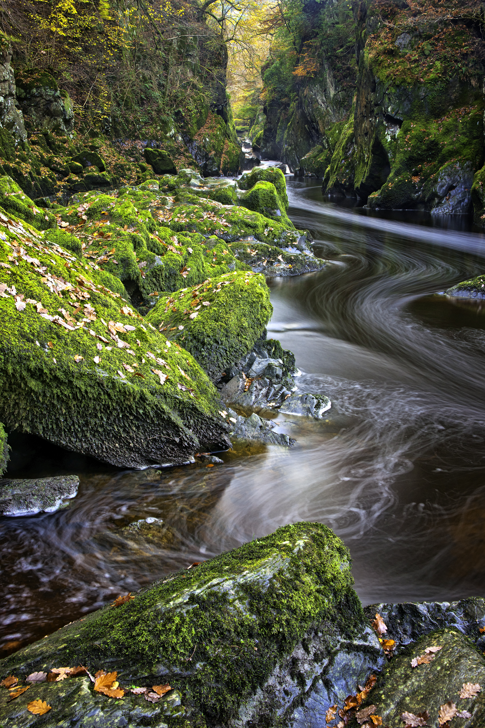 Fairy Glen CE4SHP2 copy.jpg