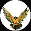 Falcon_avatar.jpg