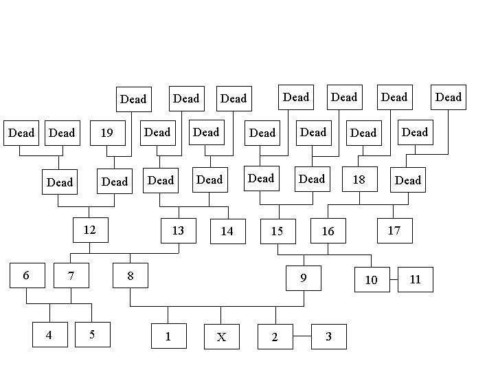 Family Tree.png