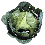 fiendishdirecabbage.gif