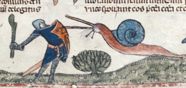 FightingSnails2-3074887848.png