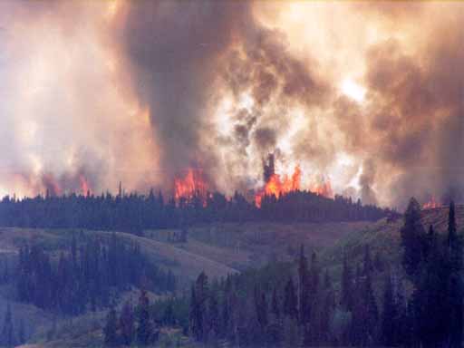 fire.jpg