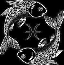 fishshtuff.jpg