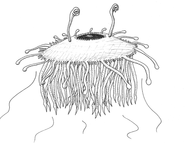 flumph.jpg