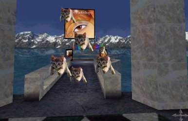 flyin_cats.jpeg