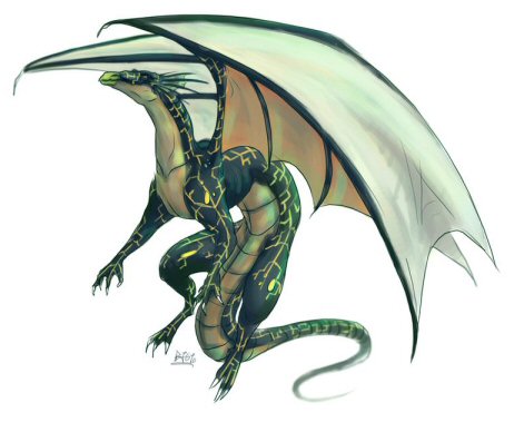 Flying_Dragon_by_Fomle_chan.png.jpg