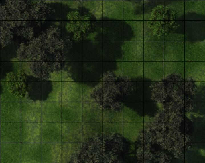 forest.jpg
