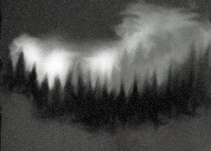 Forest Mist_dg.jpg