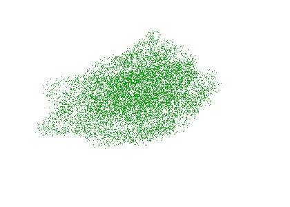 forest1.jpg