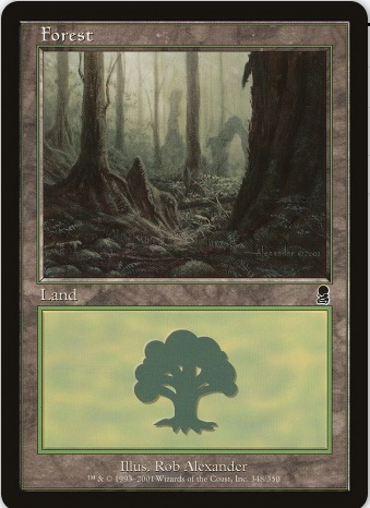 Forest1.jpg