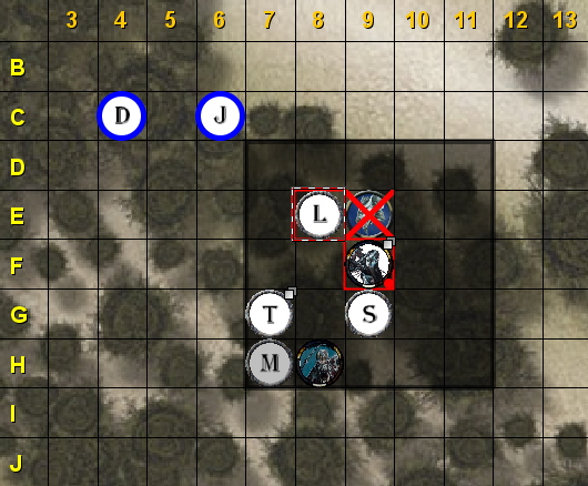 forest13.jpg