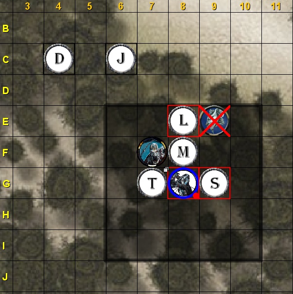 forest14.jpg