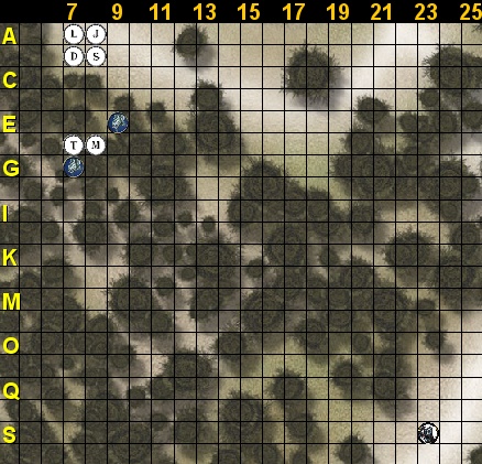 forest2.jpg