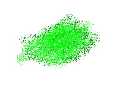 forest3.jpg