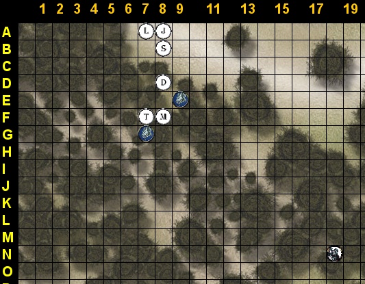 forest3.jpg