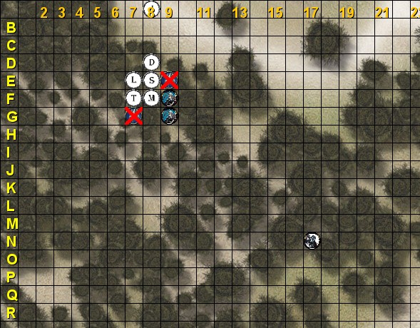 forest4.jpg