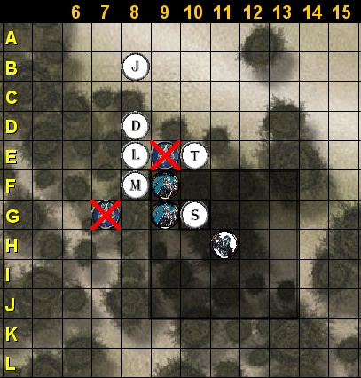 forest6.jpg