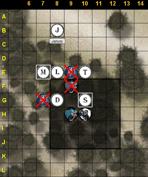 forest8.jpg