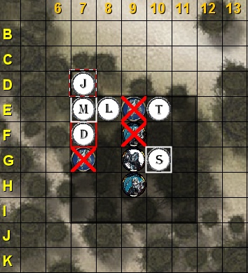 forest9.jpg