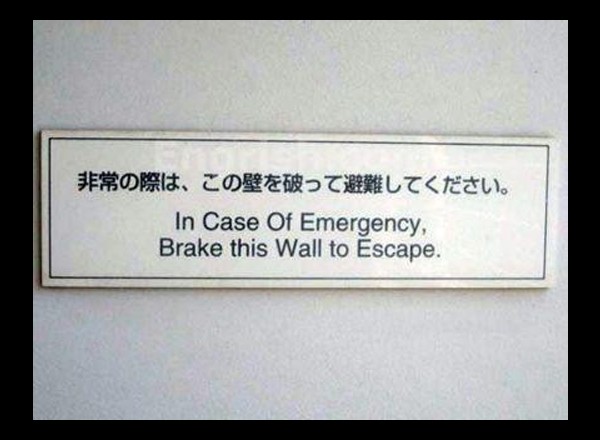 fortune cookie on wal.jpg