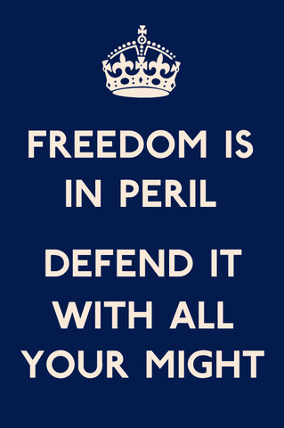 FREEDOM-IS-IN-PERIL_large__86279.1322139138.600.600.jpg
