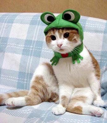 frog hat.jpg