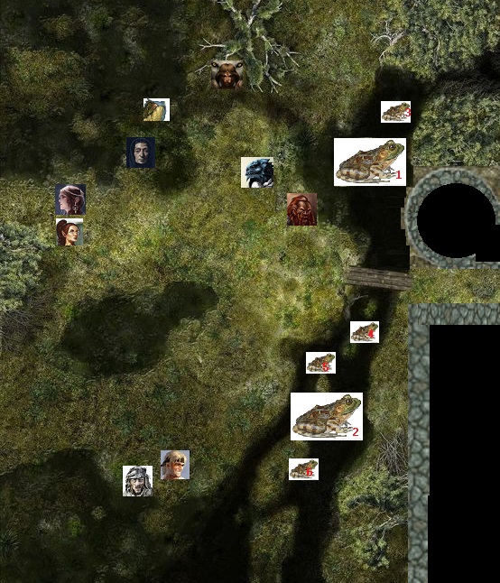 frog_fight_01.jpg