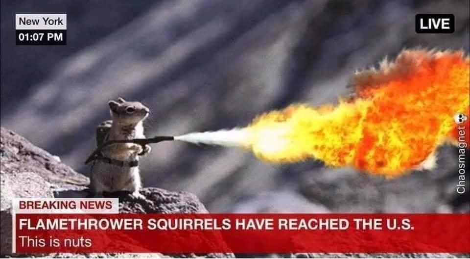 ft squirrel.jpg