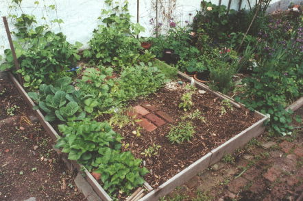 Garden-Raised_Bed.JPG