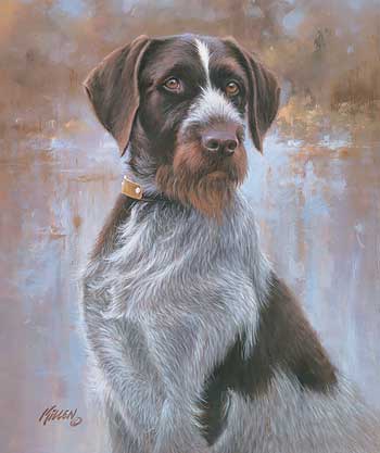 german-shorthair-pointer-dog-art-print-by-jim-killen-1432750559.jpg