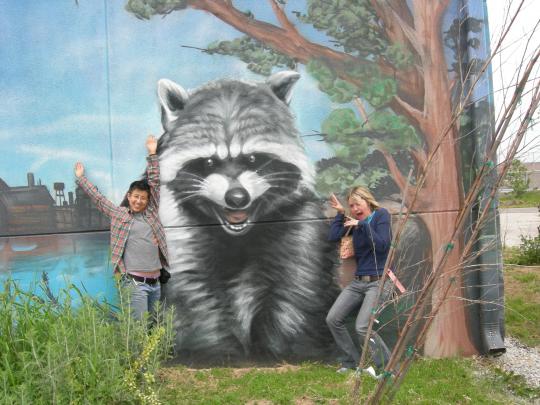 Giant Racoon.JPG