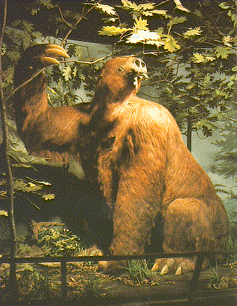 giant_sloth.gif