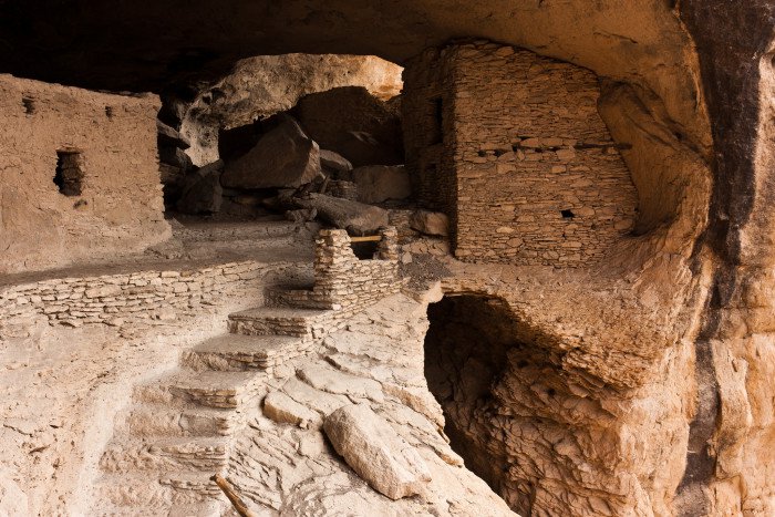 gila-closeup-700x467.jpg