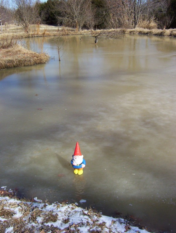 gnomeonthinice.jpg