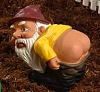 Gnurl moons Radoon [cropped].jpg