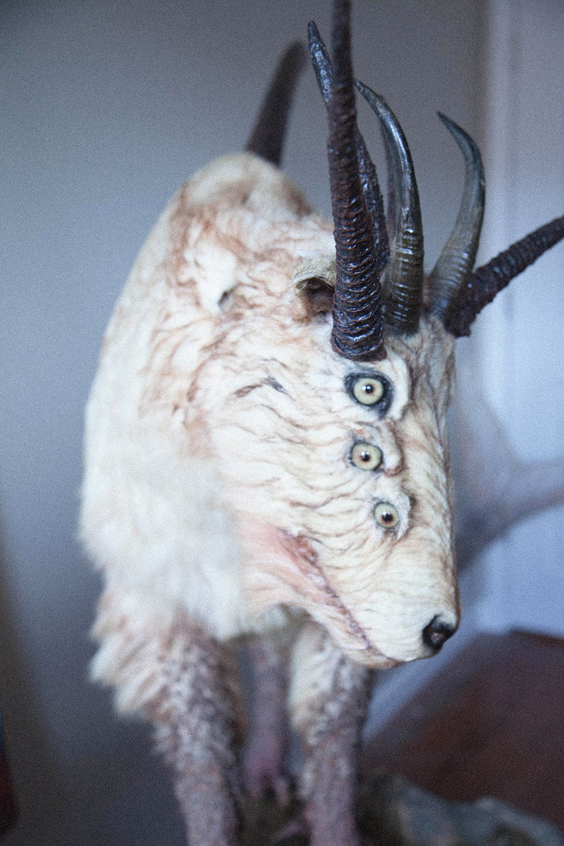 goat eyes.jpg