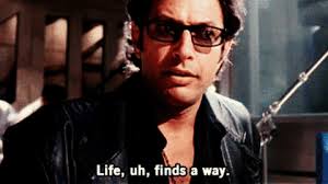 goldblum.jpg