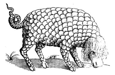 gorgonbull.jpg