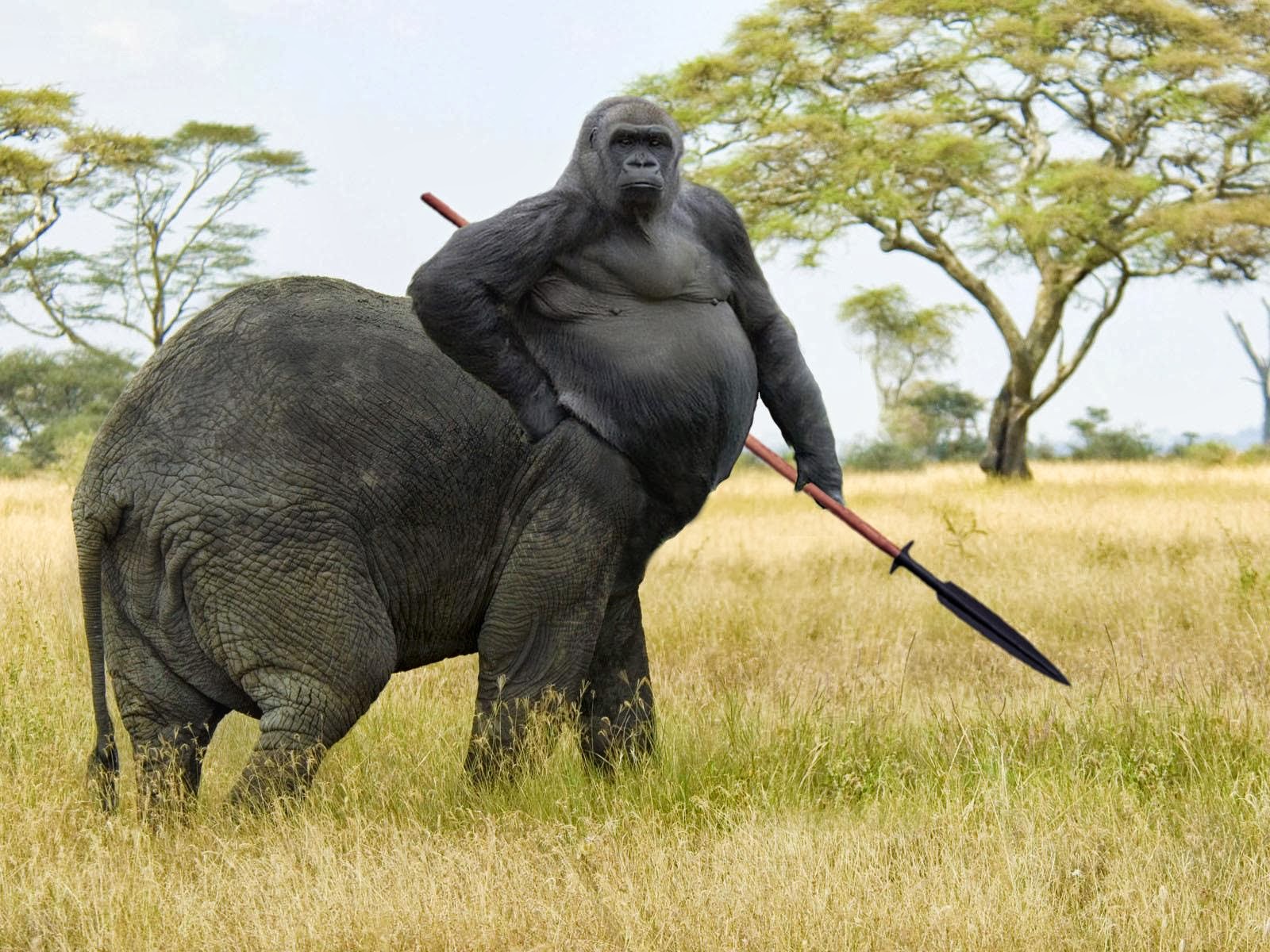 gorilla elephant centaur.jpg