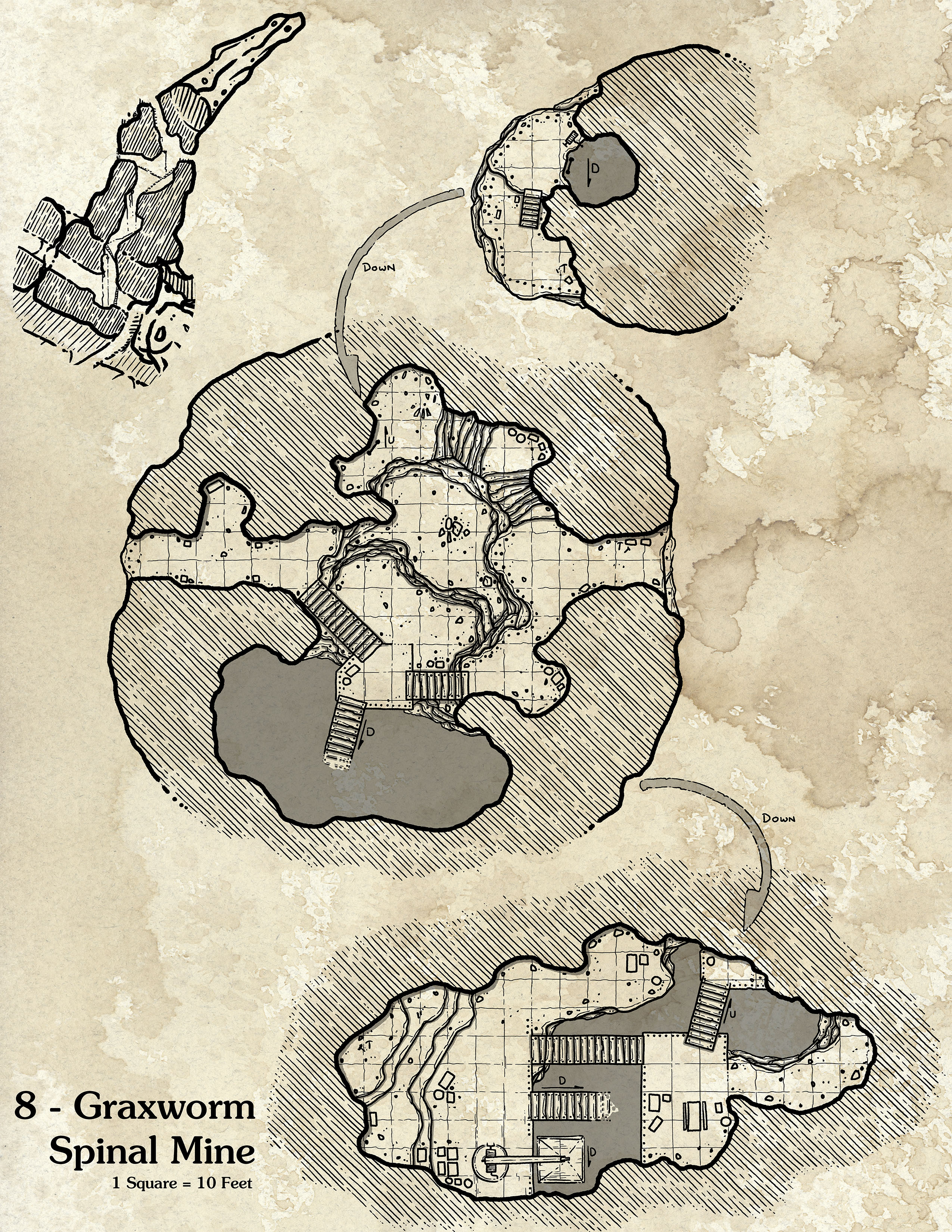Graxworm-Spinal-Mine-Promo.jpg