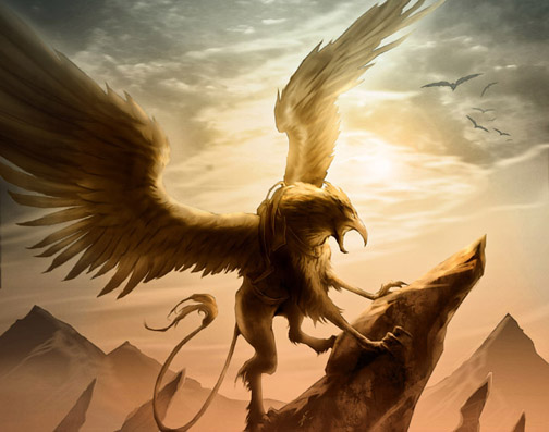 griffon.jpg