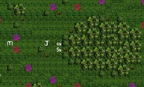 Grove1.jpg