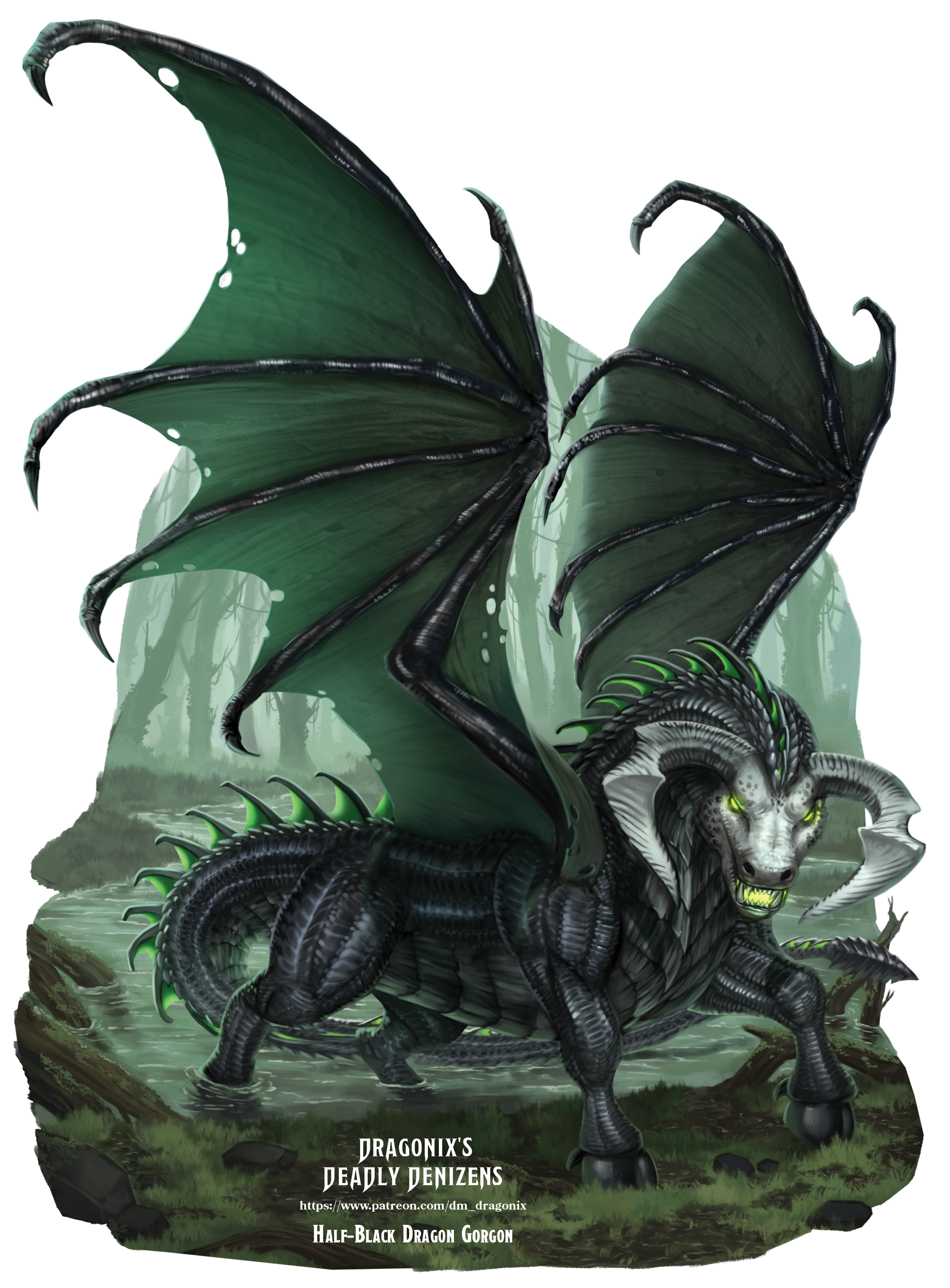 Half-Black Dragon Gorgon.png