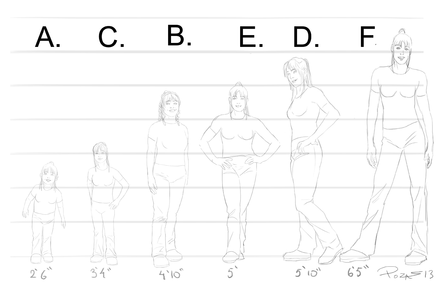 height_proportions_answer.jpg