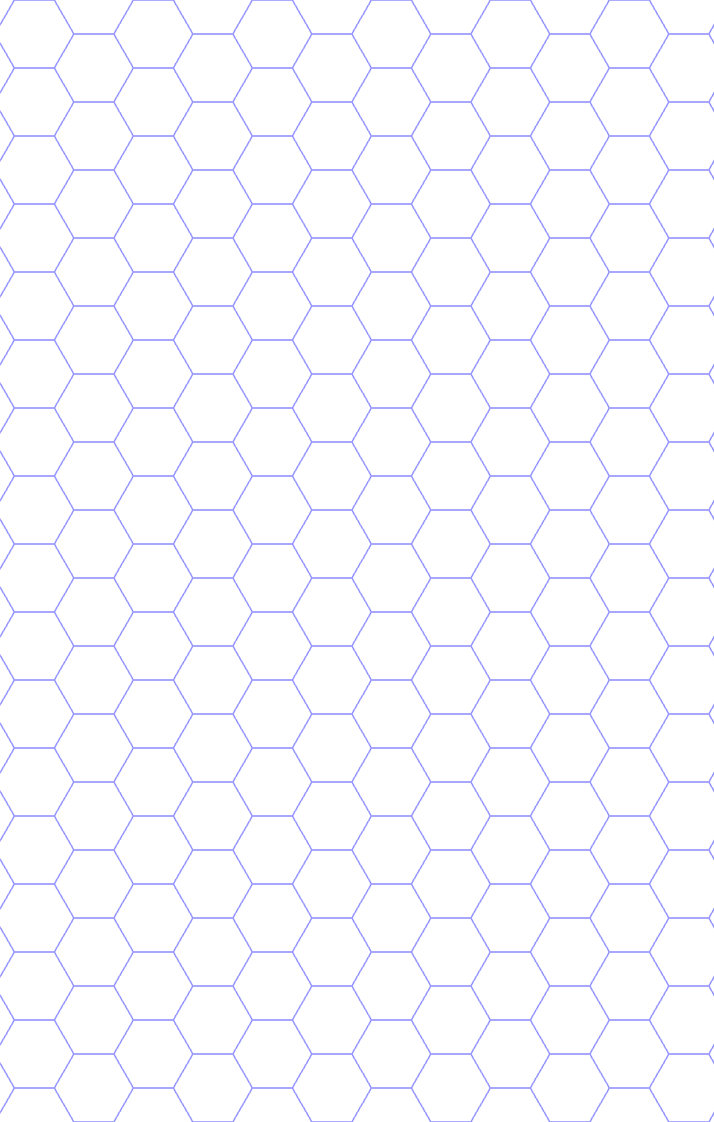 hex print.PNG