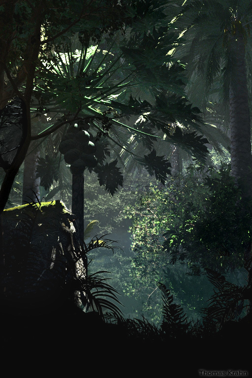 Hidden Valley Jungle 4.jpg