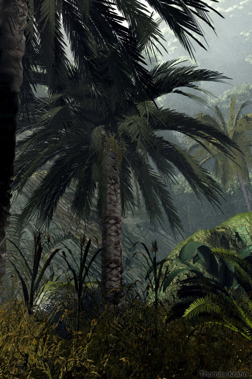 Hidden Valley Jungle 8.jpg