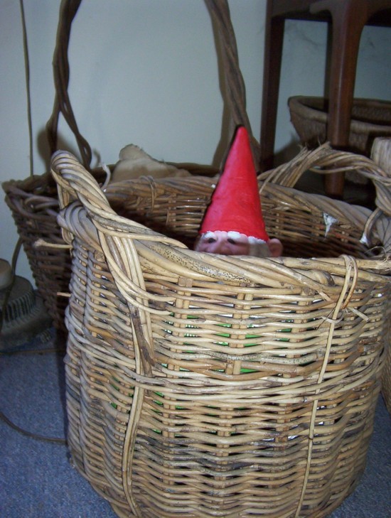 hidinggnome.jpg