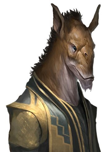 HorseHead.jpg