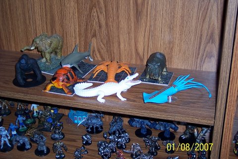 Huge animals.JPG